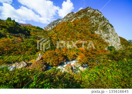 小滝川ヒスイ峡（糸魚川市） 135616645