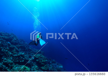 青い海とダイバー パラオの海 ダイビングの風景 青い海とダイバー パラオの海 ダイビングの風景 135616660