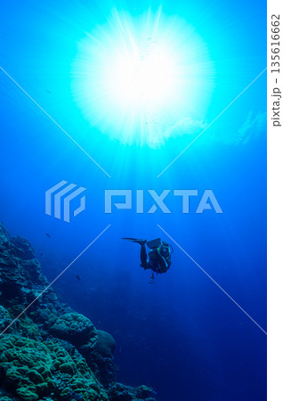 青い海とダイバー パラオの海 ダイビングの風景 青い海とダイバー パラオの海 ダイビングの風景 135616662