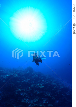 青い海とダイバー　パラオの海　ダイビングの風景 135616663