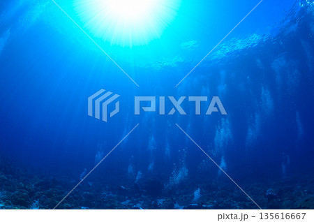 青い海とダイバー　パラオの海　ダイビングの風景 135616667