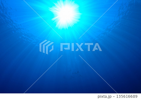 青い海と光芒　パラオの海　ダイビングの風景 135616689