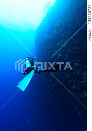 青い海とダイバー　パラオの海　ダイビングの風景 135616726