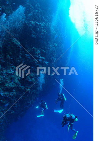 青い海とダイバー　パラオの海　ダイビングの風景 135616727