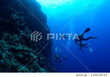 青い海とダイバー　パラオの海　ダイビングの風景 135616731