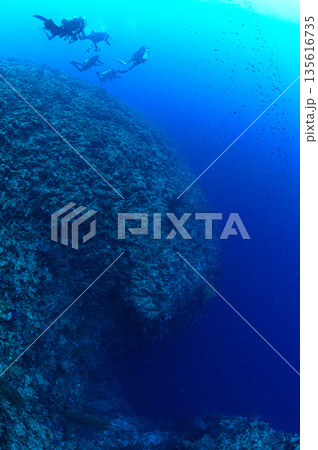 青い海とダイバー　パラオの海　ダイビングの風景 135616735