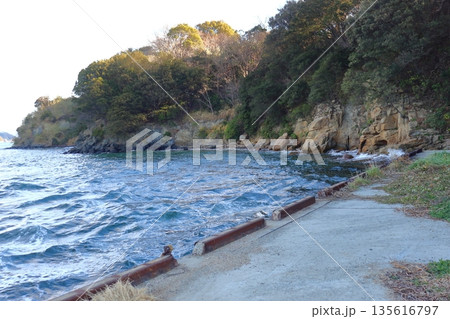岩黒島のルーツ、閃緑岩が転がる岸壁(岩黒島北西部) 岩黒島のルーツ、閃緑岩が転がる岸壁(岩黒島北西部) 135616797