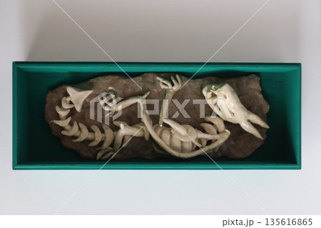 粘土でドラゴンの工作 135616865