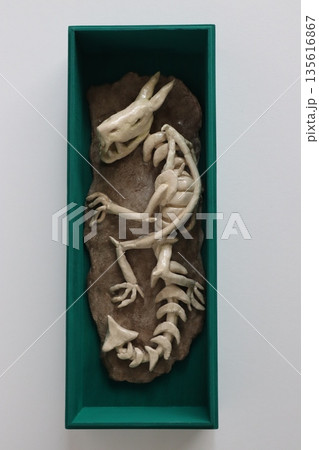 粘土でドラゴンの工作 135616867