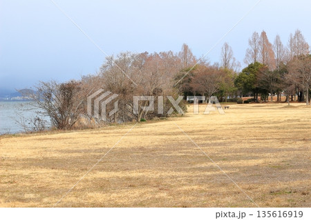冬の公園の風景 冬の公園の風景 135616919