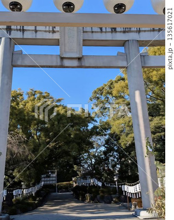 成海神社の新年の風景 成海神社の新年の風景 135617021