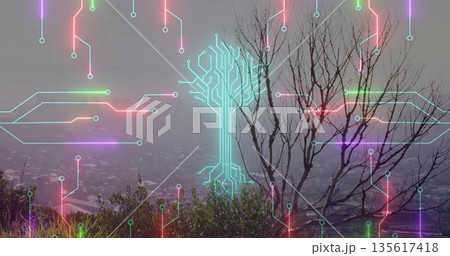 Displaying neon circuit-tree icon overlaying misty hilltop, with bare branches and circuit lines 135617418