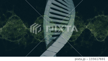 Twisting white 3D DNA helix spiraling in virtual environment, with glowing green network strands Twisting white 3D DNA helix spiraling in virtual environment, with glowing green network strands 135617691