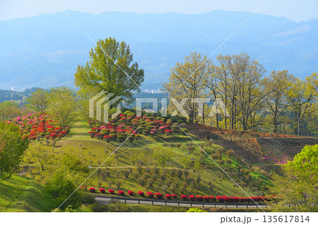 山江村の丸岡公園 山江村の丸岡公園 135617814