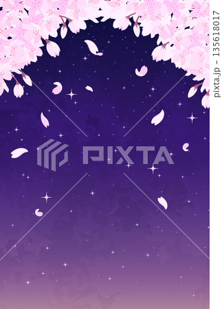 夜桜と星空のイラスト_縦1 夜桜と星空のイラスト_縦1 135618017