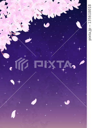 夜桜と星空のイラスト_縦2 135618018
