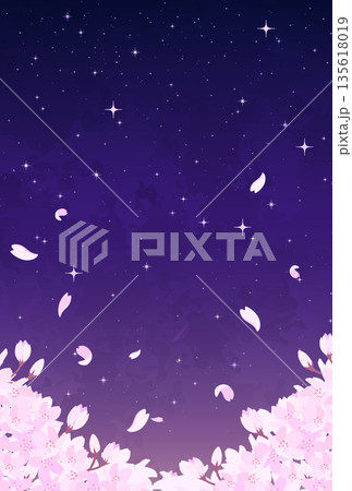 夜桜と星空のイラスト_縦3 夜桜と星空のイラスト_縦3 135618019