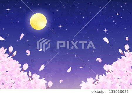 夜桜と満月と星空のイラスト_横3 135618023