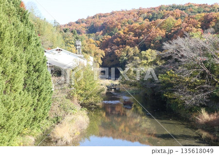 紅葉あふれる大阪高槻の摂津峡を歩く 紅葉あふれる大阪高槻の摂津峡を歩く 135618049