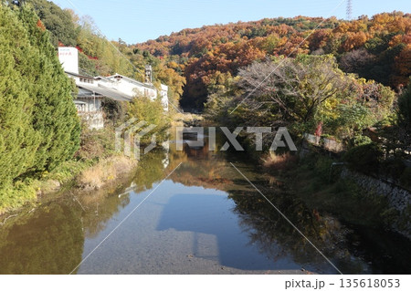紅葉あふれる大阪高槻の摂津峡を歩く 紅葉あふれる大阪高槻の摂津峡を歩く 135618053