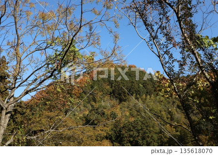 紅葉あふれる大阪高槻の摂津峡を歩く 紅葉あふれる大阪高槻の摂津峡を歩く 135618070