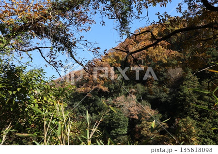 紅葉あふれる大阪高槻の摂津峡を歩く 紅葉あふれる大阪高槻の摂津峡を歩く 135618098