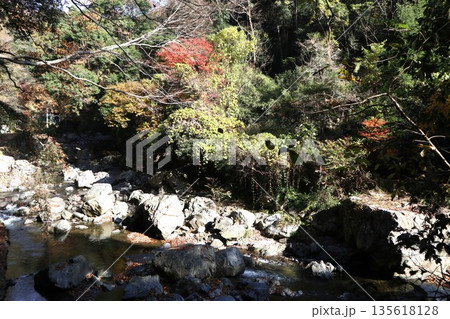 紅葉あふれる大阪高槻の摂津峡を歩く 紅葉あふれる大阪高槻の摂津峡を歩く 135618128