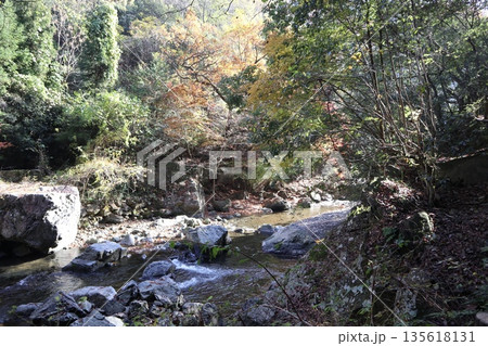 紅葉あふれる大阪高槻の摂津峡を歩く 紅葉あふれる大阪高槻の摂津峡を歩く 135618131