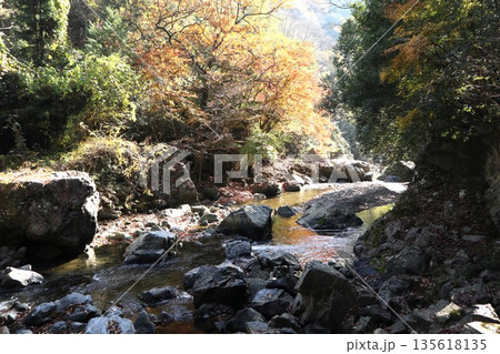紅葉あふれる大阪高槻の摂津峡を歩く 紅葉あふれる大阪高槻の摂津峡を歩く 135618135