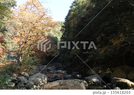 紅葉あふれる大阪高槻の摂津峡を歩く 紅葉あふれる大阪高槻の摂津峡を歩く 135618203
