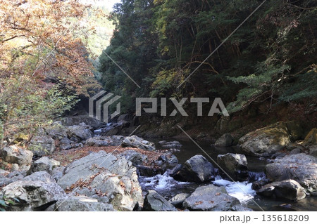 紅葉あふれる大阪高槻の摂津峡を歩く 135618209