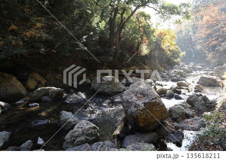 紅葉あふれる大阪高槻の摂津峡を歩く 135618211