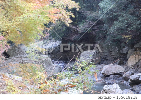 紅葉あふれる大阪高槻の摂津峡を歩く 135618218