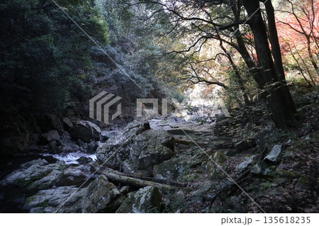 紅葉あふれる大阪高槻の摂津峡を歩く 紅葉あふれる大阪高槻の摂津峡を歩く 135618235