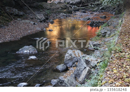 紅葉あふれる大阪高槻の摂津峡を歩く 紅葉あふれる大阪高槻の摂津峡を歩く 135618248