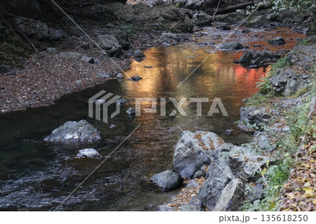 紅葉あふれる大阪高槻の摂津峡を歩く 135618250