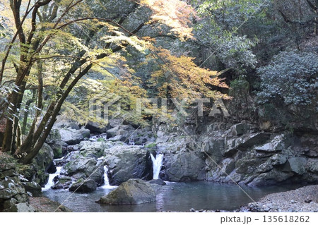 紅葉あふれる大阪高槻の摂津峡を歩く 紅葉あふれる大阪高槻の摂津峡を歩く 135618262