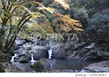 紅葉あふれる大阪高槻の摂津峡を歩く 135618263