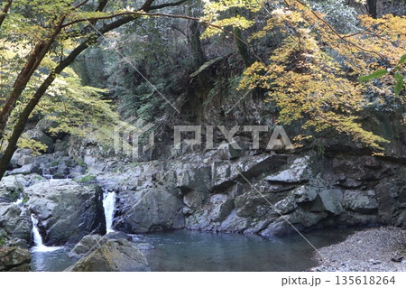紅葉あふれる大阪高槻の摂津峡を歩く 紅葉あふれる大阪高槻の摂津峡を歩く 135618264