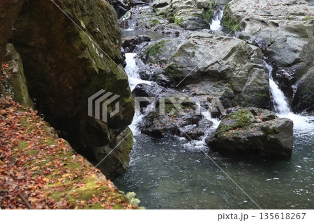 紅葉あふれる大阪高槻の摂津峡を歩く 135618267