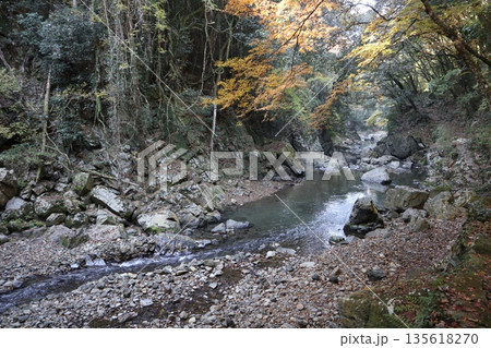 紅葉あふれる大阪高槻の摂津峡を歩く 紅葉あふれる大阪高槻の摂津峡を歩く 135618270