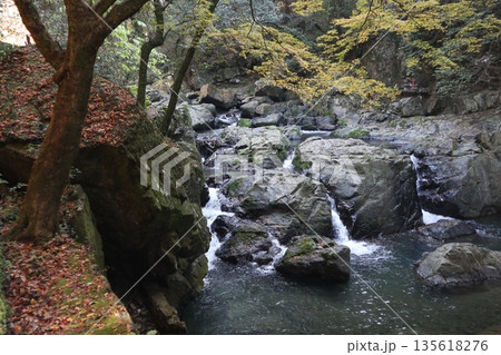 紅葉あふれる大阪高槻の摂津峡を歩く 紅葉あふれる大阪高槻の摂津峡を歩く 135618276