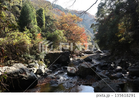 紅葉あふれる大阪高槻の摂津峡を歩く 135618291