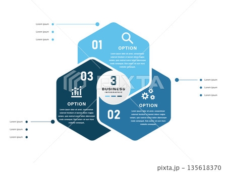 3 Option Business Infographic with Blue Hexagonal Layout 135618370