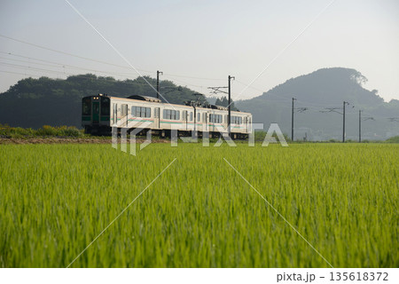 早朝の東北本線を走る701系電車 135618372