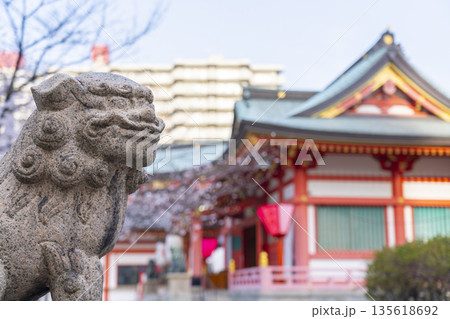 土佐稲荷神社　狛犬　満開の桜（大阪市西区） 135618692