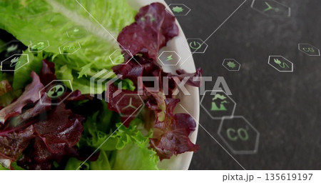 Showcasing white bowl of red and green lettuce in kitchen, with floating eco icons, copy space Showcasing white bowl of red and green lettuce in kitchen, with floating eco icons, copy space 135619197