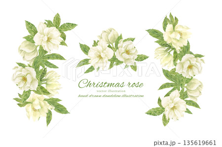 水彩で描いた白いクリスマスローズのフレーム 135619661