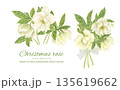 水彩で描いた白いクリスマスローズの花束 135619662