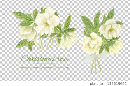 水彩風格的白色聖誕玫瑰花束 水彩風格的白色聖誕玫瑰花束 135619662